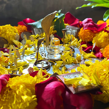 Kaal Sarp Puja Procedure